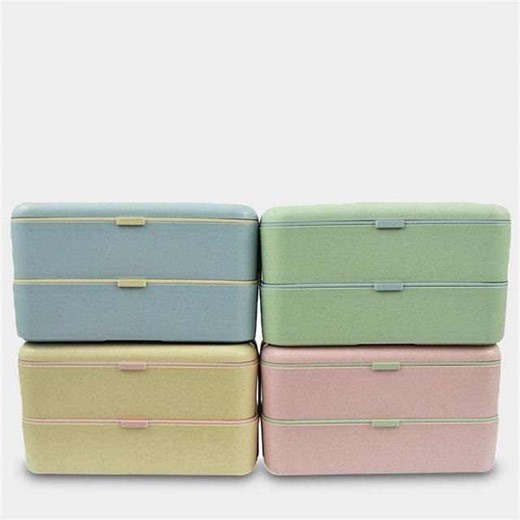 2-Layer Plastic Bento Lunch Box Cute Style Bpa Free Storage Container Heatable Food Container for Outdoor Picnic Wholesale