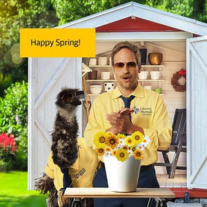 5K views · 73 reactions | It’s time for spring planting. Don’t have a green thumb? Neither does LiMu (or any thumbs for that matter). | Liberty Mutual Insurance | Facebook