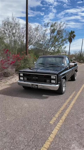 Chevy C10 Single Cab Racing Tips and Tricks
