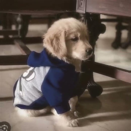 I CAN'T HOLD IT BACK!!!!