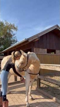 Mini Napi Vlog 🥰 #lovasok #horse #equestrian #vlog # #lovaglás #horsegirl #horseriding #ranch