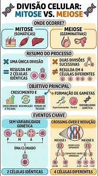 Mitose vs. meiose : O RESUMO DEFINITIVO. #enem #biologia