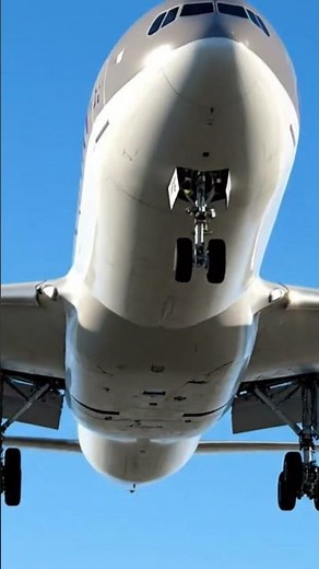 Qatar Airways Aircraft Front View in Clear Sky