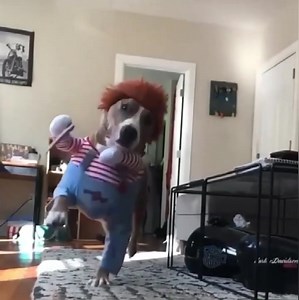 LightInTheBox on Reels