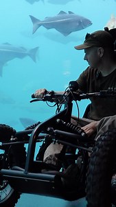 Exotek AS on Instagram: "Checking out the large aquarium tank at @atlanterhavsparkenalesund in Ålesund 🇳🇴 Amazing place! Only staircases down to main attraction: The big tank.. Luckily I had The Exoquad.., so for me that was not a problem on the day. Room for improvement on this particular attraction, but the rest of the facility is quite good in terms of accessibility! #aalesund #abilitynotdisability #accesibilityforall #aquarium #offroadwheelchair #poweredwheelchair"