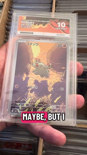 Phanpy AR aka Saharan Desert vibes 🐘