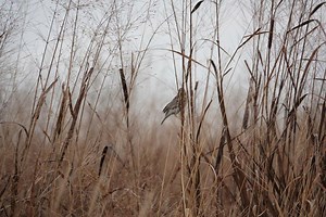 Kirchoff Family Farm