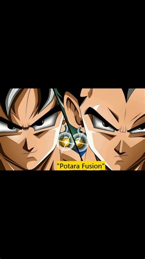 Vegeta and Goku Fusion with Potara Earrings Explained