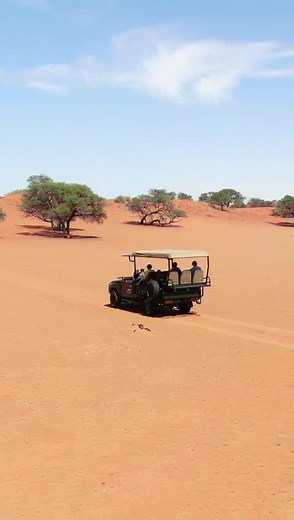 Exploring Kalahari Namibia's Scenic Beauty and Wildlife