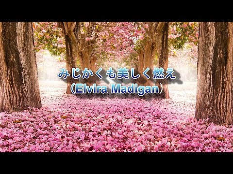 映画音楽『みじかくも美しく燃え』 Cinema Music " Elvira Madigan "