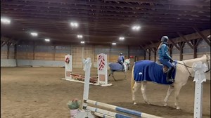 1.6K views | Emilio 濾 6 year old 14.2h grade appendix pony gelding. Currently used in our lesson program. Sweet and simple, with lots of potential to be even more! Jumps around and never spooky, very gentle on the ground, easy to ride. Quiet and comfortable. Lowest fives. New Milford CT. Inquiries contact Catherine  860-992-9514 | Quiet Rein Sales | Facebook