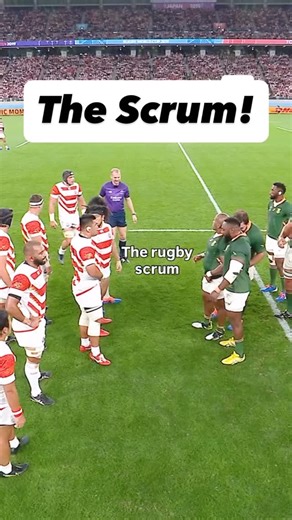 The Lineout Lab / Peter O’Donnell on Instagram: "The Scrum battle! Follow @lineoutlab for more Follow @lineoutlab for more Follow @lineoutlab for more For more interest on my next programme click the link in bio Follow / Like / Save / Share 👉 @lineoutlab 👍 @lineoutlab ◻️ @lineoutlab #rugby #lineout #rugbyskills #rugbyunion #scrum"
