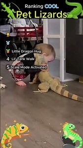 Some Really Cool Pet Lizards!