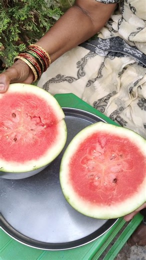 Watermelon🍉తొ జాగ్రత్త #viralvideo #trending #ytshorts #youtubeshorts #yt #shorts #shortvideo #short
