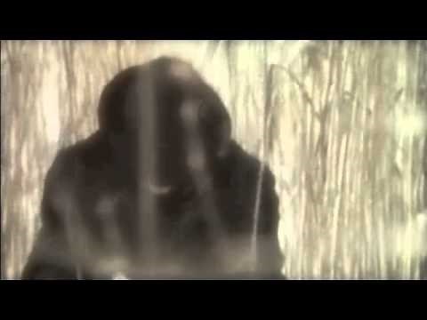 U2- "40" (Official-Unofficial) Music Video