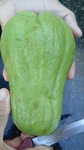 🥒 3 Reasons To Start Eating Chayote Today!