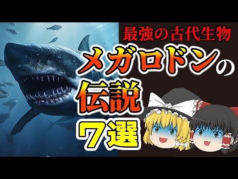 【古代生物】史上最強の巨大ザメ・メガロドンの伝説7選【ゆっくり解説】