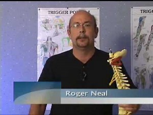 True Back How It Works