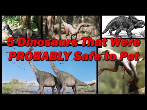 5 Dinosaurs That Were PROBABLY Safe to Pet 🦕 Prehistory in the Dark 🦕