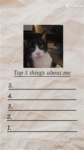 Felix EXPOSED: His Top Secrets Revealed 😱🐱 #cat #fypシ゚viral #cute #shorts