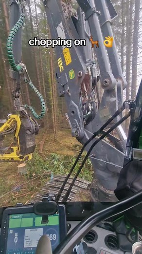 wet one #forestymachines #1270H #1270g #timber #saw #waratah #johndeereforestry #harvesting #sawlogs #splitlog #logtok #loggingvideos #logging #livingthedream