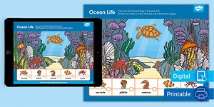 Ocean Life Can You Find? Picture Activity