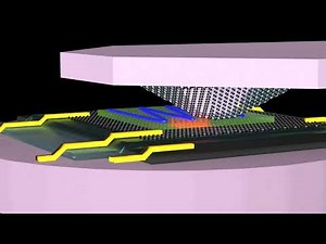 The quantum twisting microscope: A new lens on quantum materials