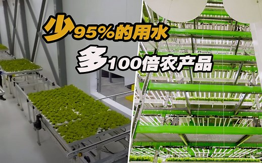 “垂直农场”如何生产100倍于土地的农产品（双语字幕）