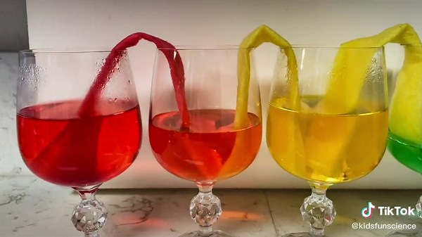 capillary action, the amazing, gravity-defying scientific phenomenon that causes liquids to flow up. #walkingwater #walkingwaterexperiment #surfacetension #rainbowwalkingwater
