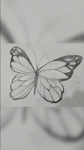 "Reaslitic Butterfly Sketch 🦋 💖//Easy pencil Shading for beginners #sketch #butterfly #shorts