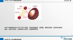 一分钟了解METLIN数据库