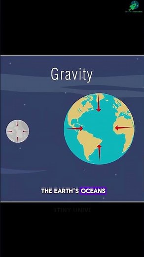 How the Moon Controls Earth’s Tides 🌊🌕 Mind Blowing Science!