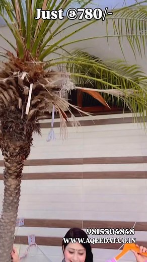 33K views · 163 reactions | Book now  https://www.aqeedat.co.in/live/monday-blockbuster-sale-16625 | AQEEDAT | Facebook