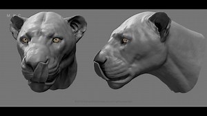 205K views · 3.1K reactions | The Lion King VFX Breakdown by MPC https://lnkd.in/g36cfiH #vfx #vfxbreakdown #visualeffects #lionking | Animationboss.net | Facebook