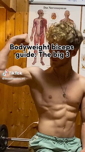 Last one was a missing link for lots of people, this one’s a guide 💪🏻 the big 3 are all you need ⚡️ #calisthenics #bodyweighttraining #biceps