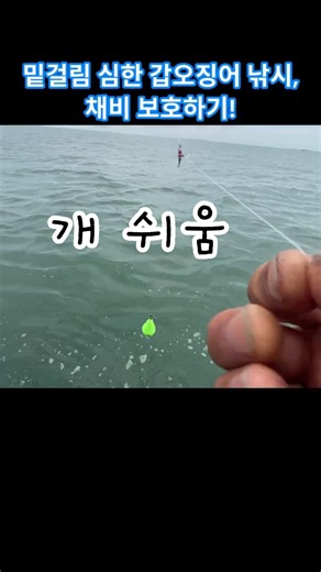 밑걸림이 심할 때 갑오징어 낚시 채비법! #갑오징어 낚시 #낚시꿀팁 #갑오징어 #쭈갑낚시