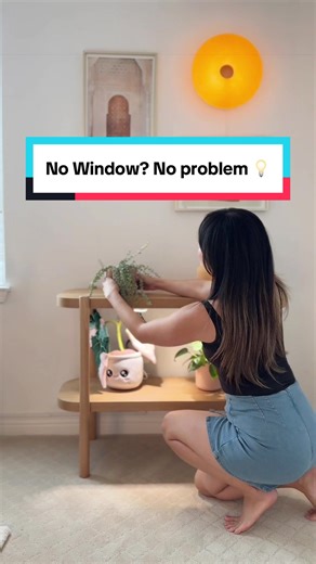 But I have one million plants 🤌 I love my Aerogarden Stem Grow Light! It solves such a common problem of not having enough sunlight or a window where I want to keep my plants. It’s dimmable, height adjustable, and I can customize timer schedules via the app! The cord is also 6 feet long so I can really put my plants anywhere now 🤌 Check out the deal in my TikTok shop before it’s over! . . . . #plantsoftiktok #plantparenthood #growlight #houseplants #hoya