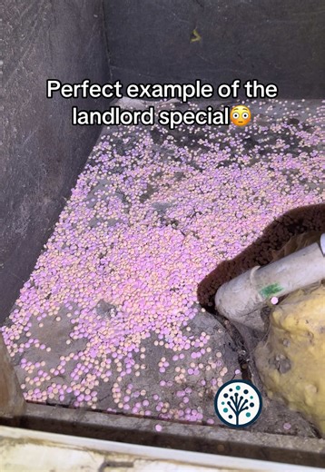 How Laundry Scent Boosters Affect Indoor Air Quality