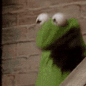 bibble_duck - Twitch