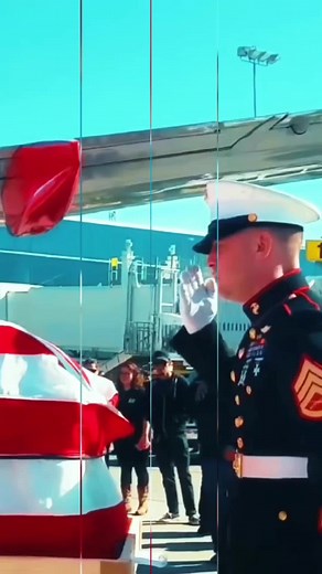 Honoring the Flag: A Personal Tribute to Soldiers