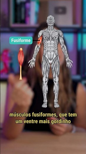 Revisando os TIPOS DE MÚSCULOS 💪🏼