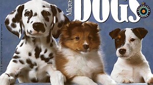 A quick look back at when Microsoft released software about dogs, dinosaurs, and robots