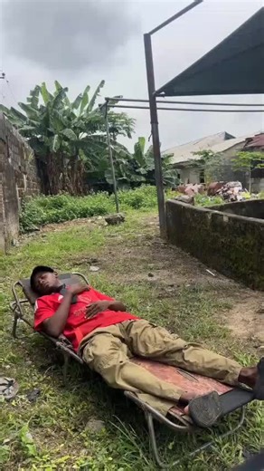 Discover the Magic of AI Robots