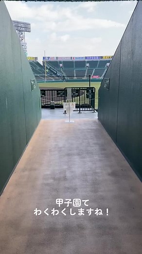 甲子園アルプス席の見切り席情報と特徴
