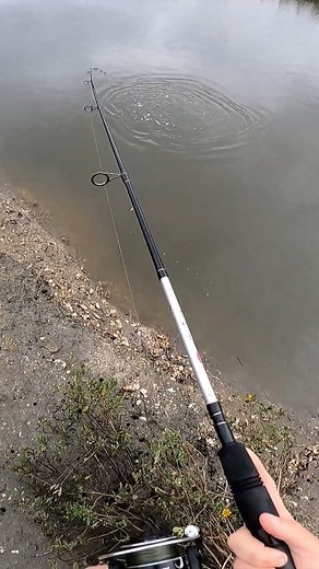 7K views · 91 reactions | #fishing | Beaufort SC Fishing | Facebook