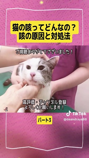 猫の咳ってどんなの？咳の原因と対処法パート3 #感動 #救助 #猫 #foryouuu #かわいい #獣医師 #犬 #viral #fyp