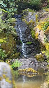 SEA you in 2026! This is your sign to book that trip to Seattle next year.😉 From glistening waters and that fresh PNW air, to local seafood and stunning parks—there truly has never been more to SEA (and do!) 🏔️🦪🌿 #VisitSeattle | Visit Seattle