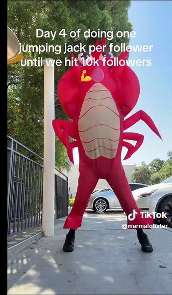 57 jumping jacks for the marmalobster? And check out that form!!! follow to see the lobster really get a sweat on and reach 10k ! #fyp #food #lobster #funny #tiktok #fypシ #fitness