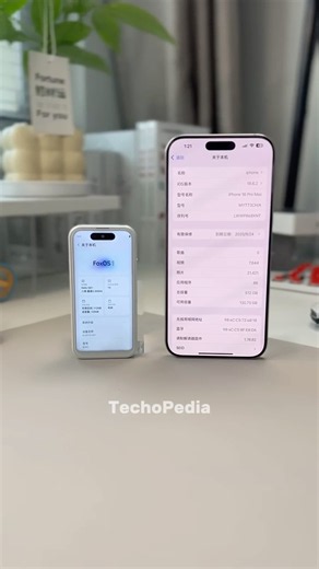 Why did they make this TINY Phone?