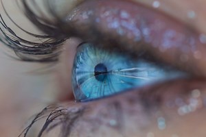 The Best Workout Writing Software Just Got Better